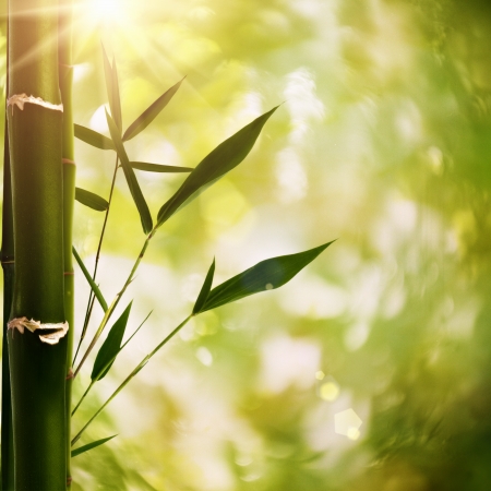 Abstract asian backgrounds for your designの写真素材