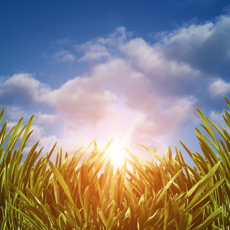 Abstract environmental backgrounds for your designの写真素材