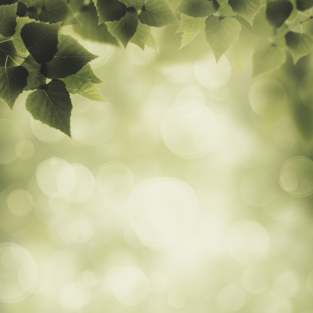 Abstract eco and environmental backgrounds for your designの写真素材
