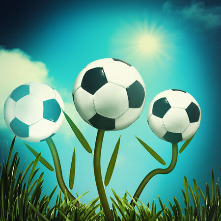 Funny football and soccer の写真素材