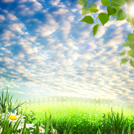 Summer time in the village, abstract environmental backgroundsの写真素材