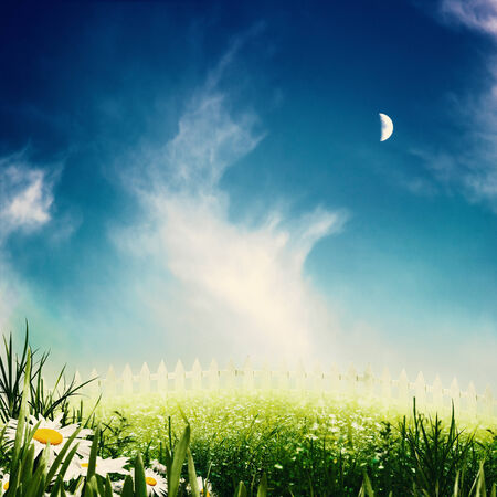 Beauty night on the meadow, abstract natural backgroundsの写真素材