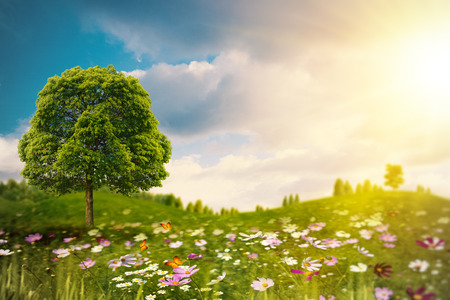 Bright summer afternoon on the meadow. Natural backgrounds の写真素材