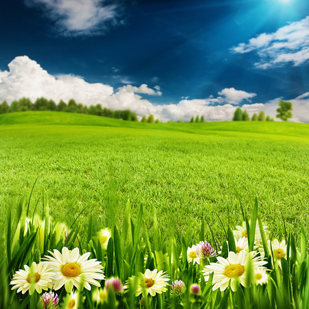 Summer time, abstract environmental backgrounds for your designの写真素材