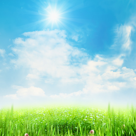Beauty summer meadow under blue skiesの写真素材