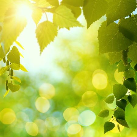 Abstract natural backgrounds with beauty bokehの写真素材