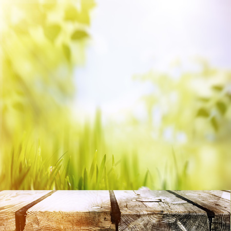 Beauty summer afternoon, abstract environmental backgroundsの写真素材
