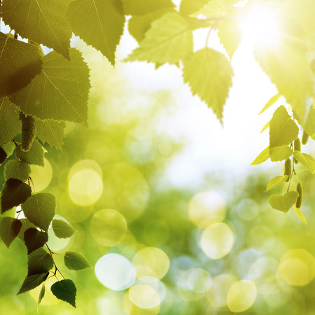 Abstract natural backgrounds with beauty bokehの写真素材