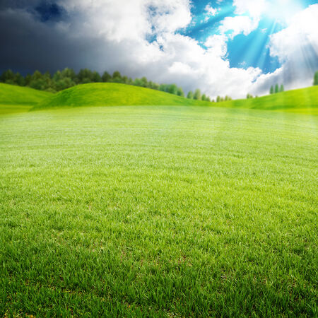 Summer morning on the meadow, abstract environmental backgroundsの写真素材