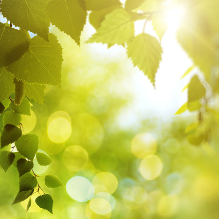 Abstract natural backgrounds with beauty bokehの写真素材