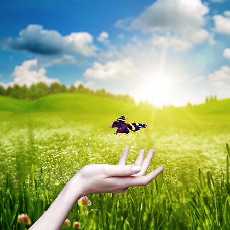 Female hand hold a beauty butterfly against abstract natural backgroundsの写真素材