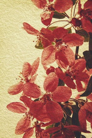 Oriental grungy floral backgrounds with real rice paper textureの写真素材