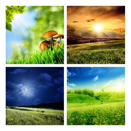 Set of assorted summer seasonal backgrounds for your designの写真素材