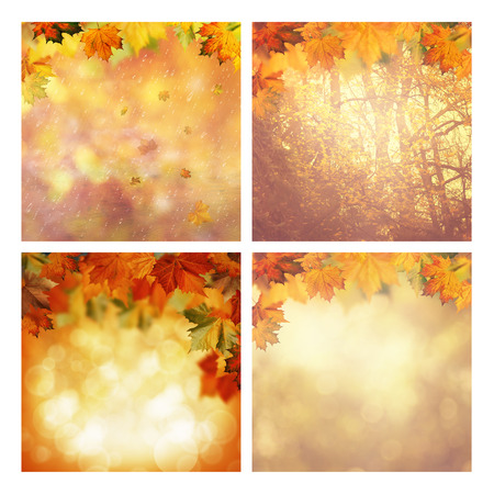 Set of assorted autumnal seasonal backgrounds for your designの写真素材
