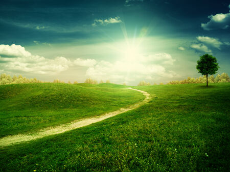 Beauty summer evening on the farm, environmental backgroundsの写真素材
