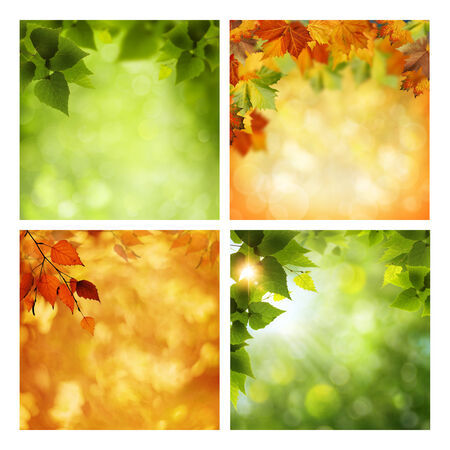 Summer and autumnal assorted backgrounds set for your designの写真素材