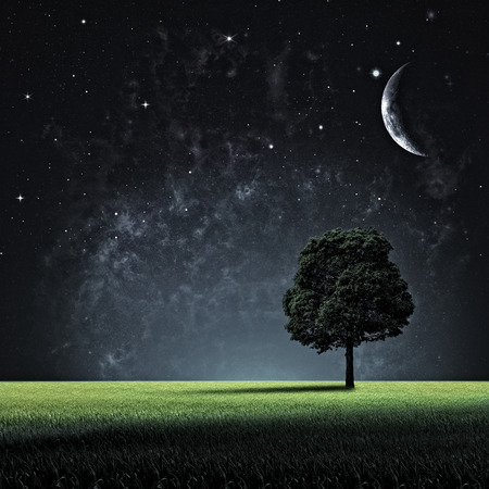 Starry night. Abstract natural backgrounds for your designの写真素材