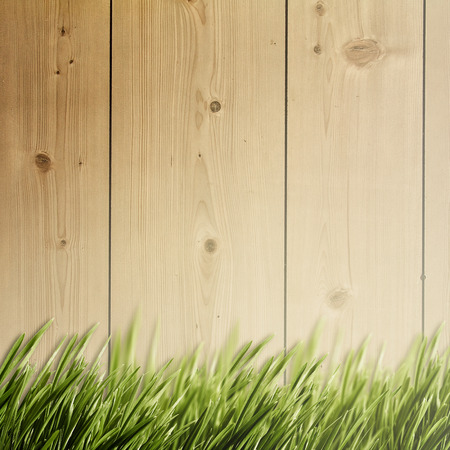 summer natural backgrounds for your designの写真素材