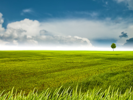 Abstract natural backgrounds with green meadow under bright summer sunの写真素材