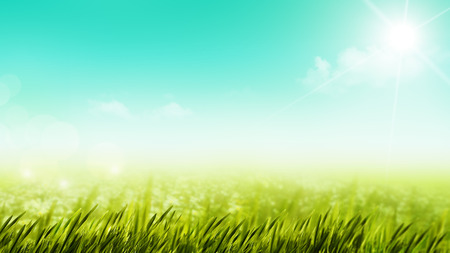 Beauty summer day on the meadow, natural backgroundsの写真素材