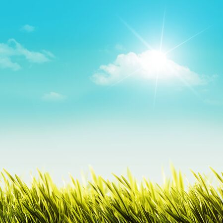 Shiny summer day on the meadow, natural backgroundsの写真素材
