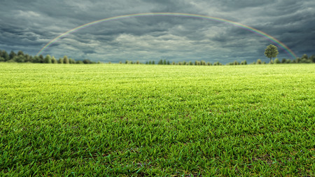 After the rain, natural landscapeの写真素材