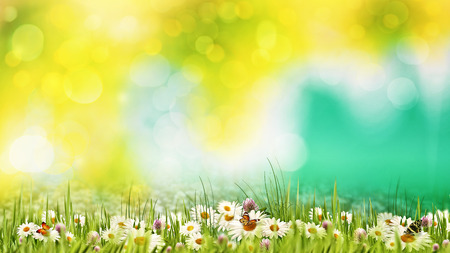 Beauty summer day on the meadow. Abstract natural backgrounds for your designの写真素材