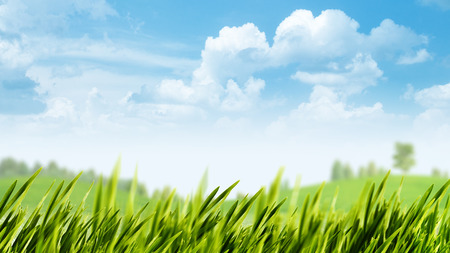 Spring gargen, abstract natural landscape for your designの写真素材