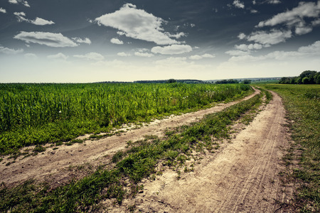 Country road, abstract natural landscape for your designの写真素材