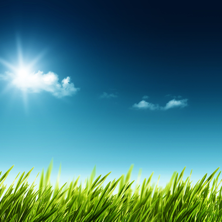 Beauty summer day. Abstract natural landscape with green grass and blue skiesの写真素材