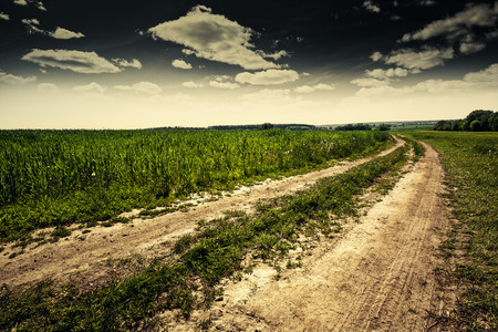 Dramatic landscape with empty road through the meadowの写真素材