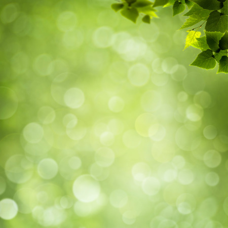 abstract natural backgrounds with green foliage and beauty bokehの写真素材