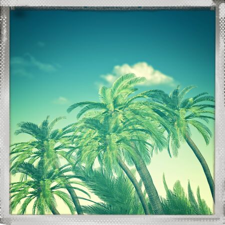 Retro view. Summer trip backgrounds with palm treeの写真素材