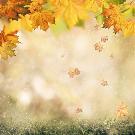 Abstract autumnal backgrounds with beauty bokeh and rain dropsの写真素材