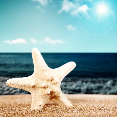 Summer relax, abstract vacation backgrounds with beach, starfish and seaの写真素材