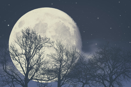 Under Moon light, abstract fantasy backgroundsの写真素材