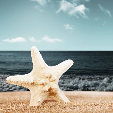 On the beach, beauty natural backgroundの写真素材