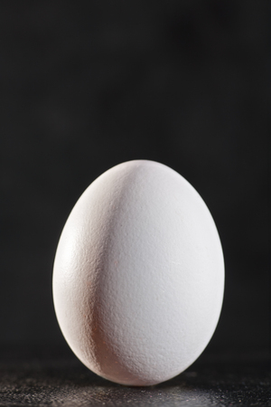 White egg against dark backgroundsの写真素材