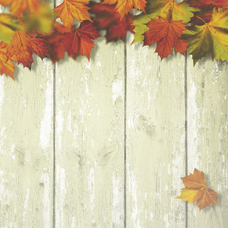 Abstract autumnal backgrounds with maple leaves over old wooden deskの写真素材