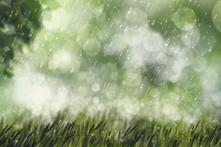 Autumnal rain, beauty natural backgrounds with copy space for your designの写真素材