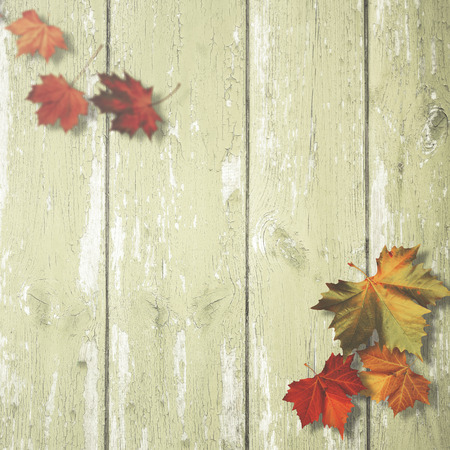 Abstract autumnal backgrounds with maple leaves over old wooden deskの写真素材