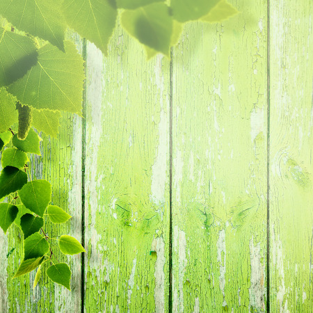 Abstract summer and spring backgrounds with foliage and wooden fenceの写真素材