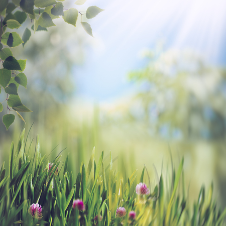 Summer beauty, abstract seasonal landscapeの写真素材