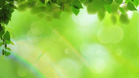 Abstract art backgrounds with green foliage. Environmental backgroundsの写真素材