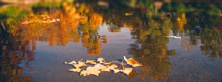 Beauty Autumn. Park lake and fallen leaves. Seasonal backgroundsの写真素材