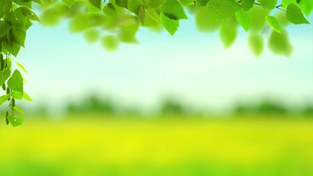 Abstract art backgrounds with green foliage. Environmental backgroundsの写真素材