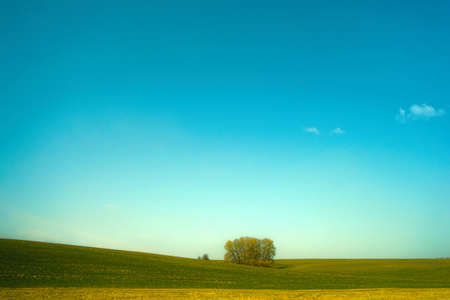 Beautiful rural landscape with green meadow and groveの写真素材