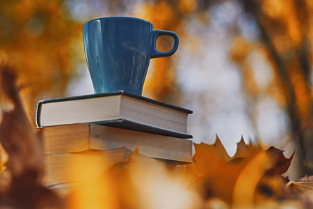 Remote Library. Pandemic online self education conceptの写真素材