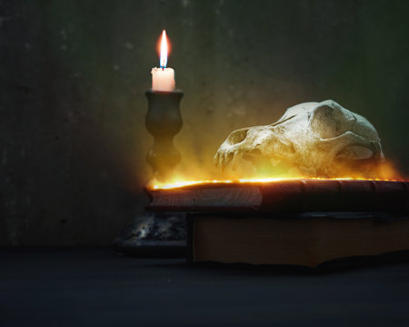 In the abode of the alchemist and magician. Magic Halloween backgroundの写真素材