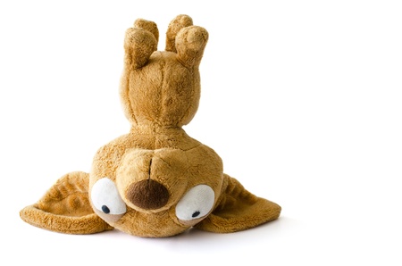 Chihuahua doll isolated on white backgroundの写真素材